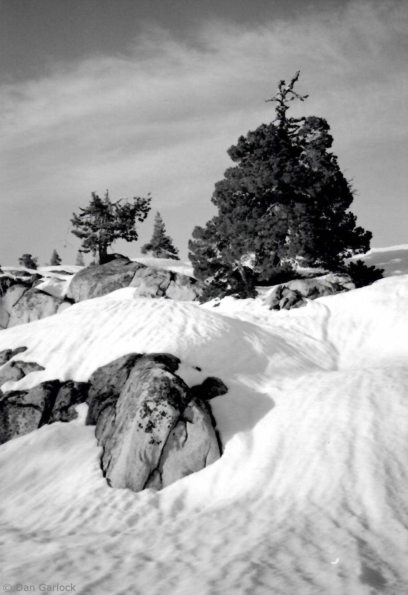 1990 Five Lakes Basin, Tahoe NF 1990 Five Lakes Basin, Tahoe NF
