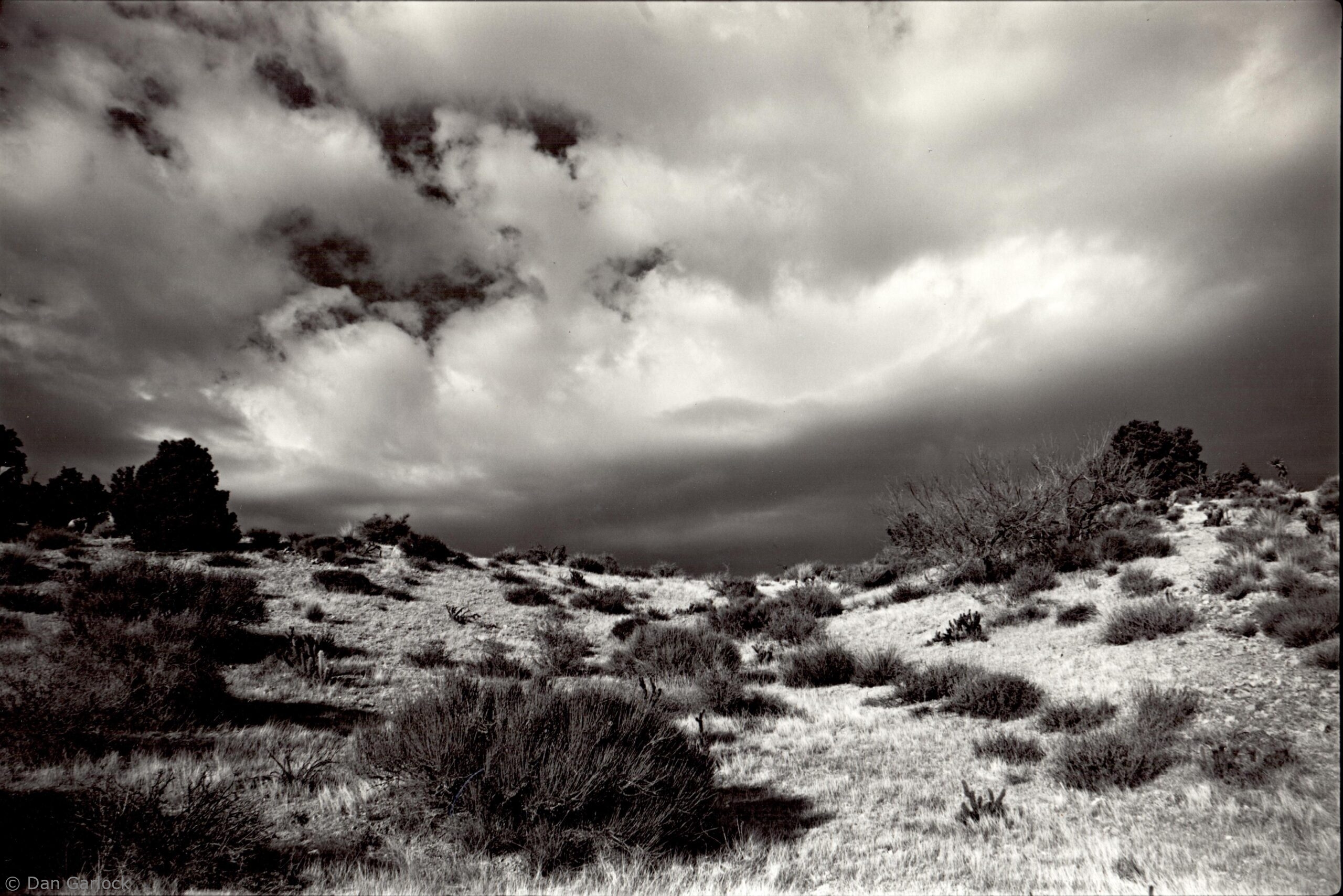 1985-01-12-Whale-Peak-Anza-Borrego 1985-01-12-Whale-Peak-Anza-Borrego
