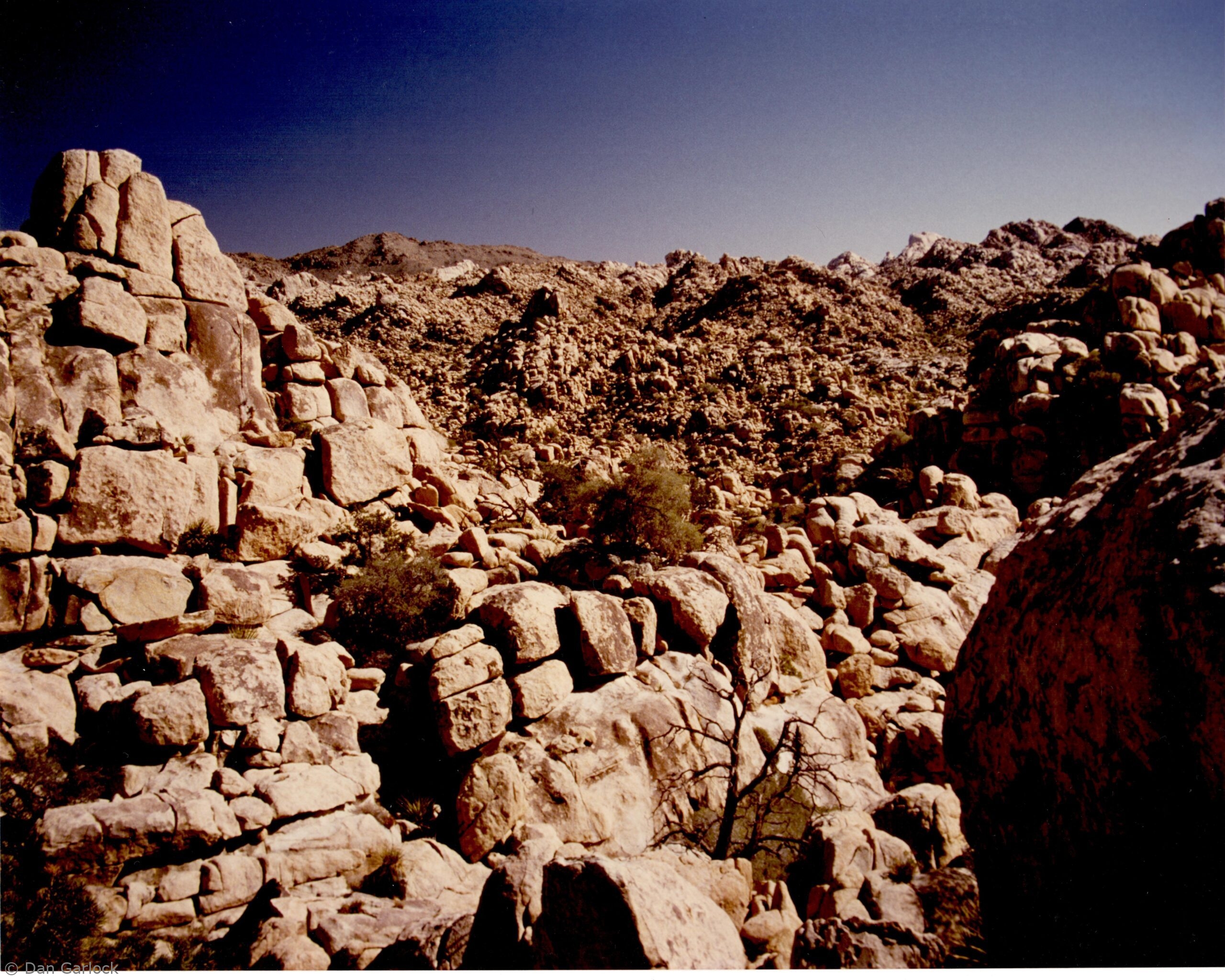 1986-02-01 Wilderness Of Rocks, Joshua Tree 1986-02-01 Wilderness Of Rocks, Joshua Tree