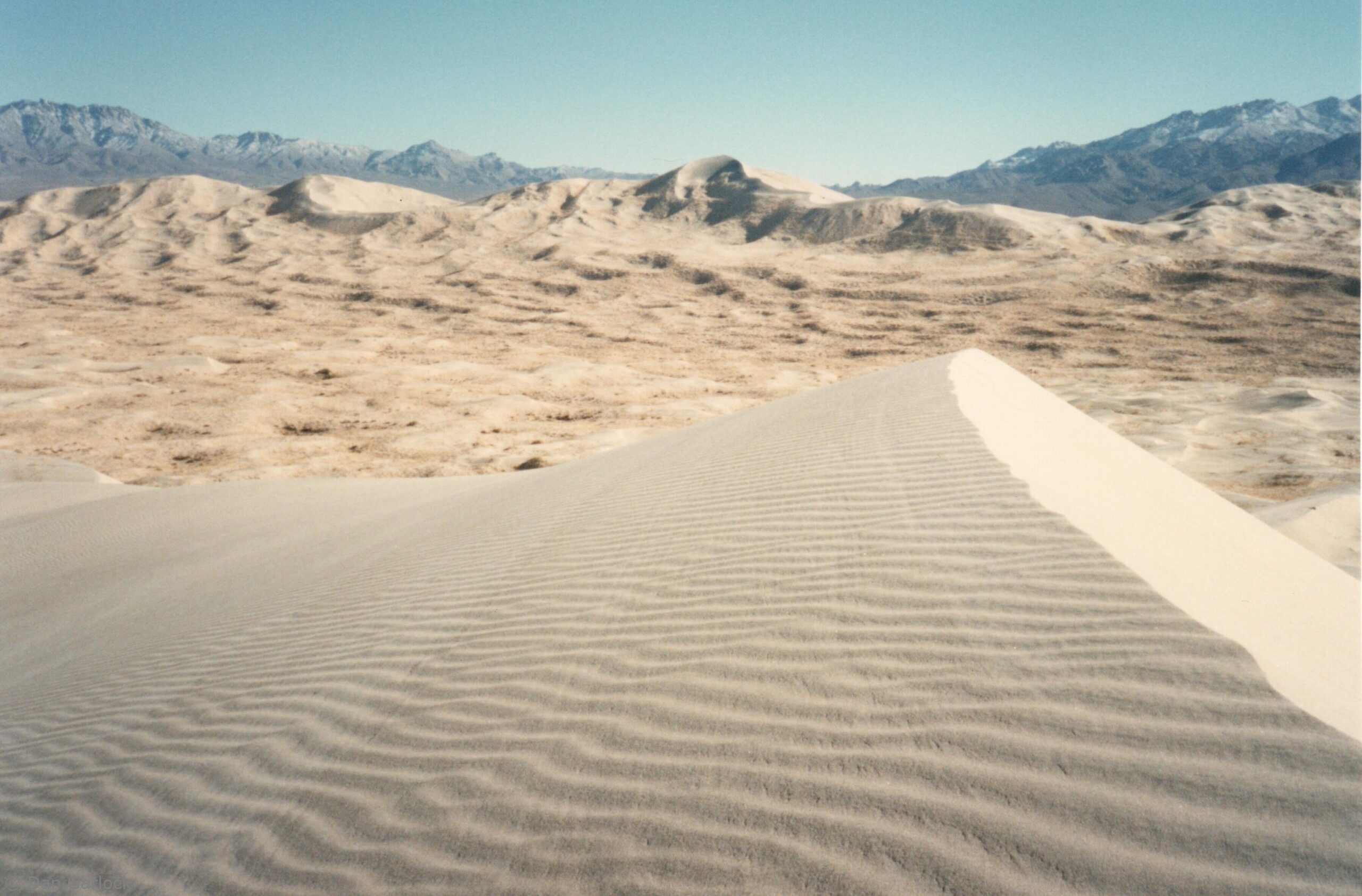 1989-12 Kelso Dunes 1989-12 Kelso Dunes